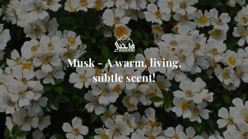 Musk - A warm, living, subtle scent!