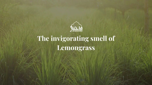 smell of Lemongrass