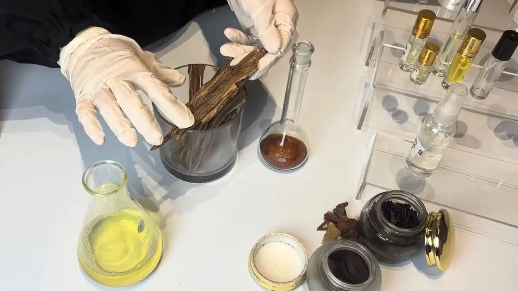 Sustaiably sourced agarwood - US
