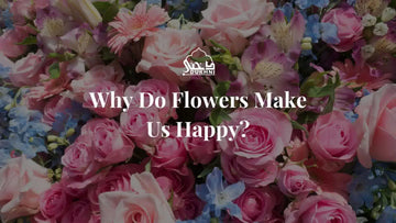 Flowers can make us happy